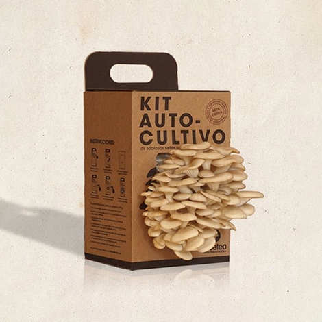 Mushroom Packaging