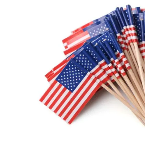 Toothpick Flags